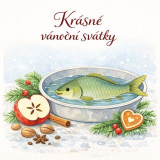 Krásné vánoční svátky Jestli vám dnešek i uplynulé dny přišly hektické, tak nyní snad už přichází trochu klid, sváteční...